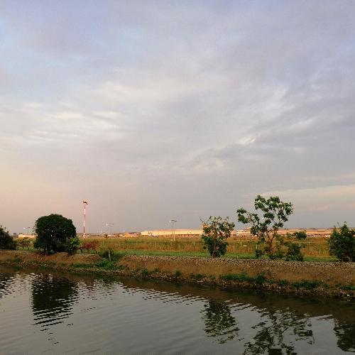 สมาชิกหมายเลข 5196266