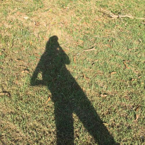 สมาชิกหมายเลข 5606491