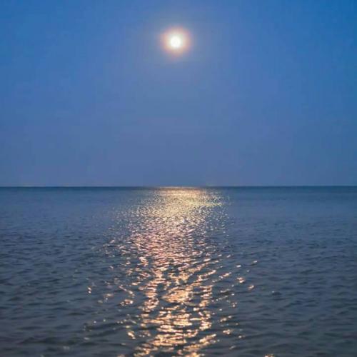 สมาชิกหมายเลข 5606919