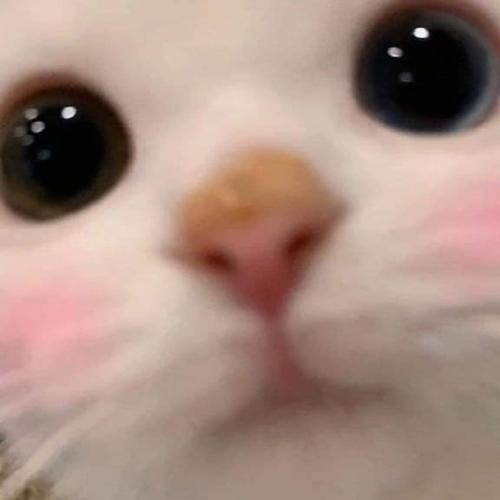 สมาชิกหมายเลข 6173976