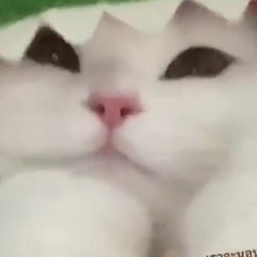 สมาชิกหมายเลข 6808097