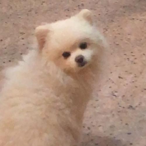 สมาชิกหมายเลข 6808562