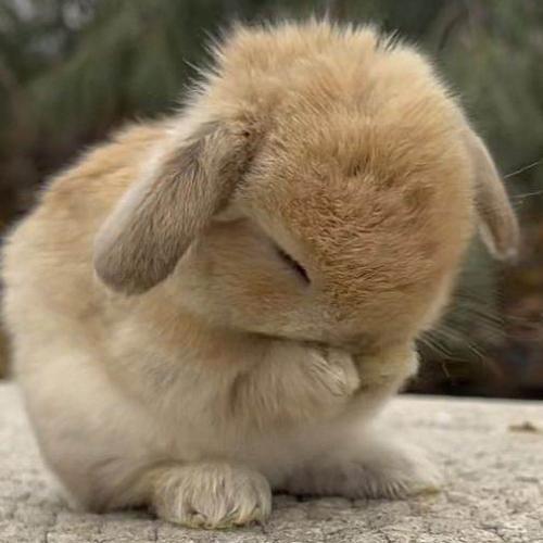 สมาชิกหมายเลข 6808558