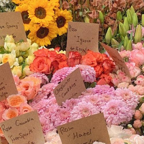 สมาชิกหมายเลข 7579012