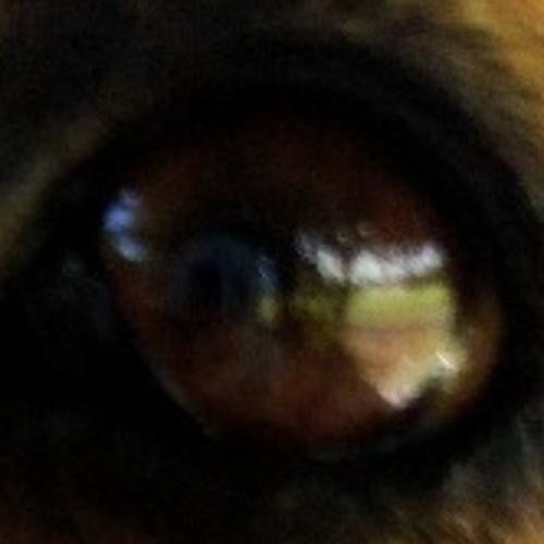 สมาชิกหมายเลข 8501045