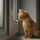 สมาชิกหมายเลข 2519786