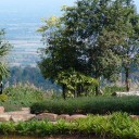 สมาชิกหมายเลข 4015405