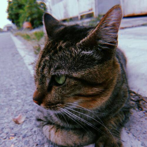 สมาชิกหมายเลข 2869643