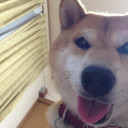 สมาชิกหมายเลข 4479474