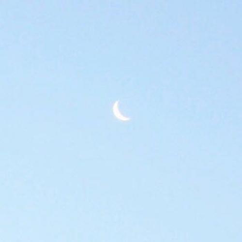 สมาชิกหมายเลข 4479510