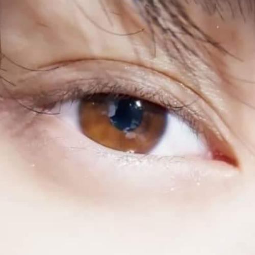 สมาชิกหมายเลข 4479512