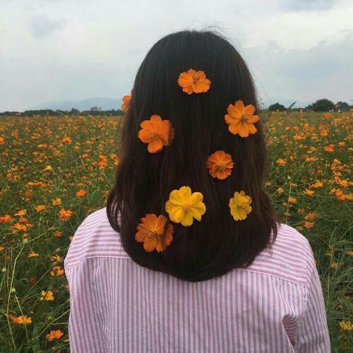 สมาชิกหมายเลข 4813510