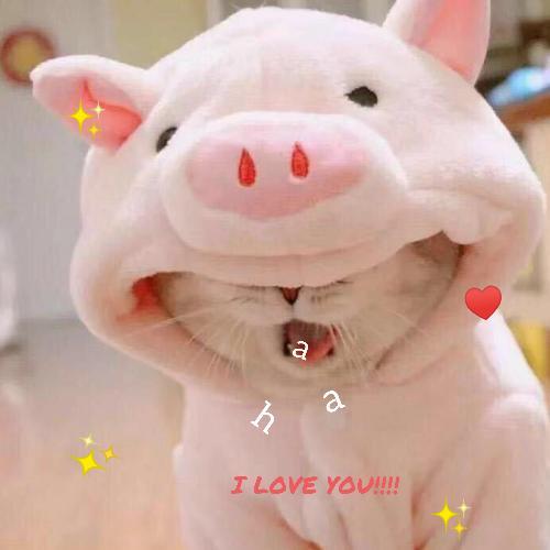 สมาชิกหมายเลข 5607019