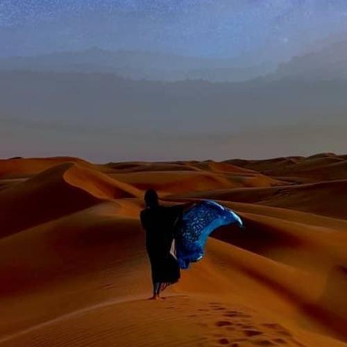 ดูไบไดอารี่