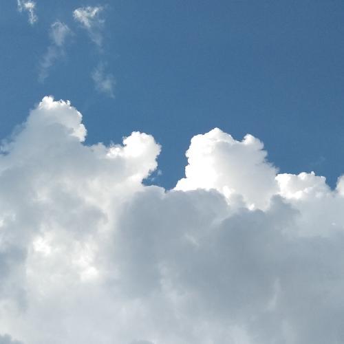 สมาชิกหมายเลข 5607087