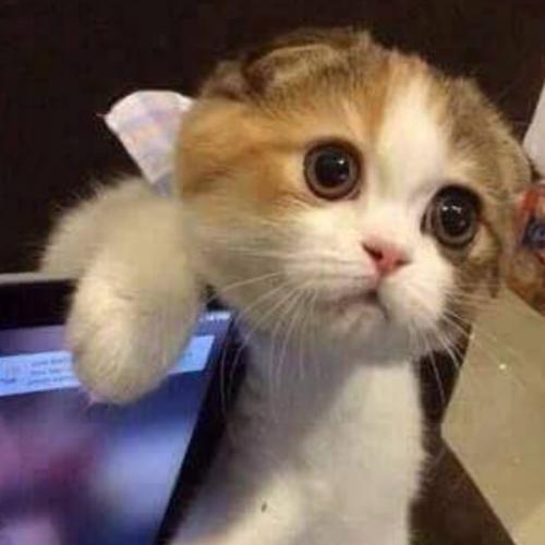 สมาชิกหมายเลข 5534024