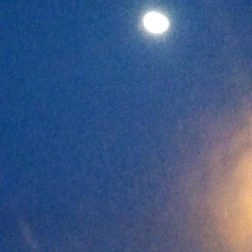 สมาชิกหมายเลข 6174532