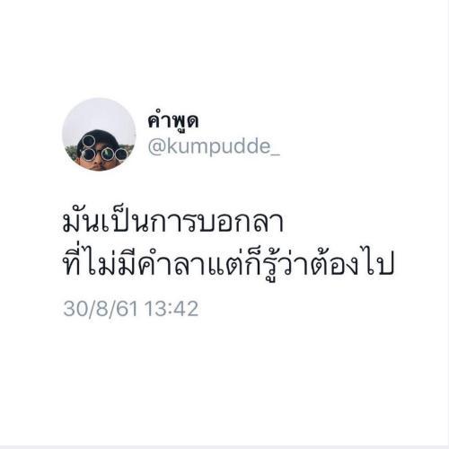 สมาชิกหมายเลข 6802784