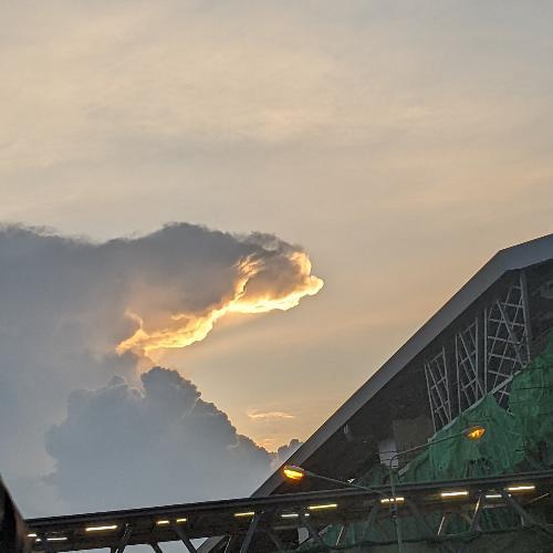 สมาชิกหมายเลข 1075177