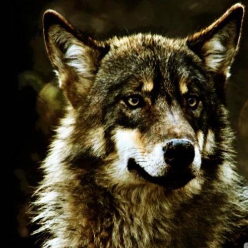 สมาชิกหมายเลข 4073956