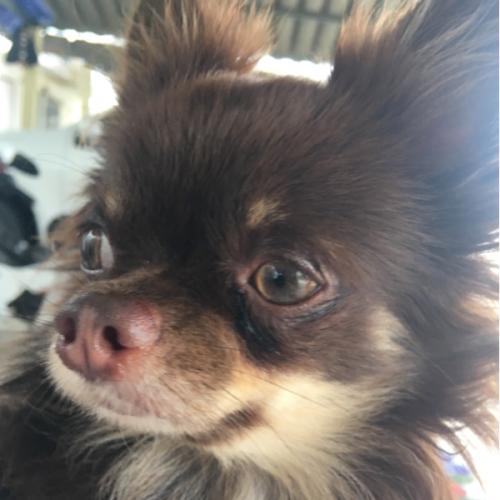 สมาชิกหมายเลข 2266632