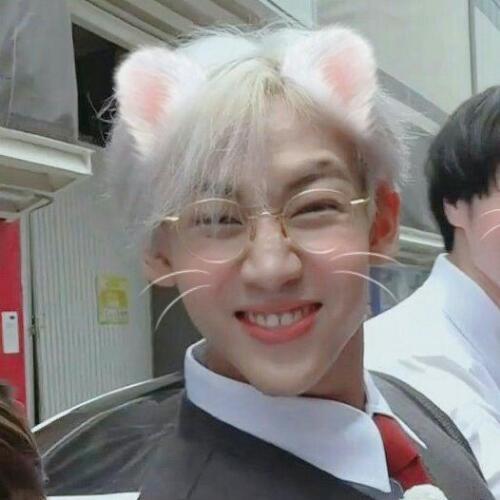 สมาชิกหมายเลข 5197137