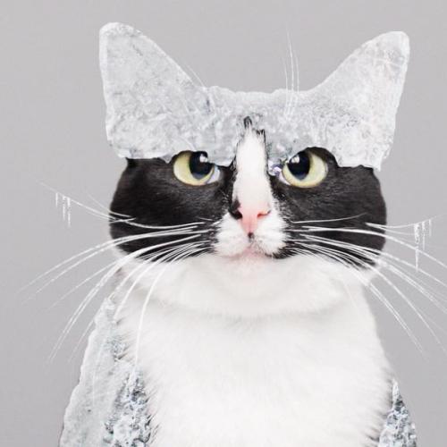 สมาชิกหมายเลข 2924698