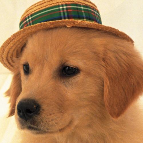 สมาชิกหมายเลข 5166037