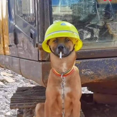 สมาชิกหมายเลข 6809550