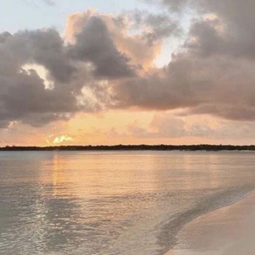 สมาชิกหมายเลข 6809613