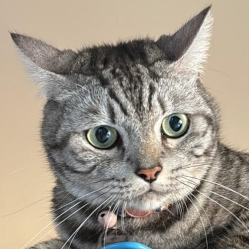 สมาชิกหมายเลข 2527639