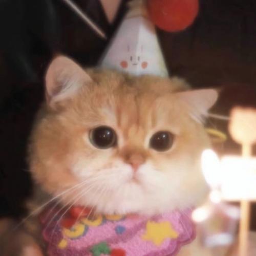 สมาชิกหมายเลข 8502564