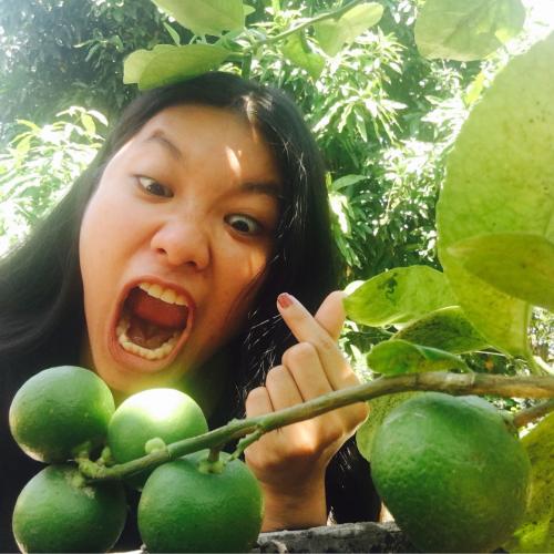 สมาชิกหมายเลข 2495589