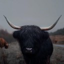 สมาชิกหมายเลข 4016422