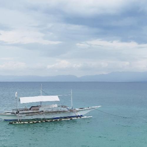 สมาชิกหมายเลข 1195043