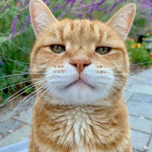 สมาชิกหมายเลข 1722659