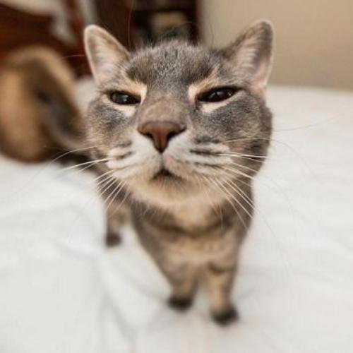 สมาชิกหมายเลข 5457607