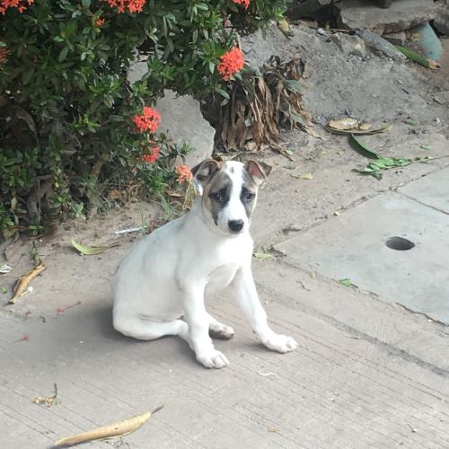 สมาชิกหมายเลข 5608468