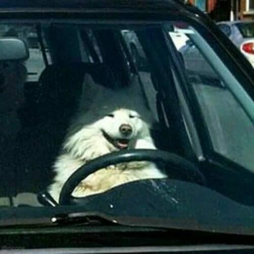 สมาชิกหมายเลข 6810898