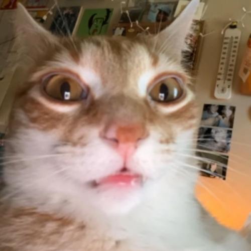 สมาชิกหมายเลข 7581083