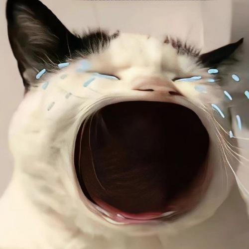 สมาชิกหมายเลข 7581478