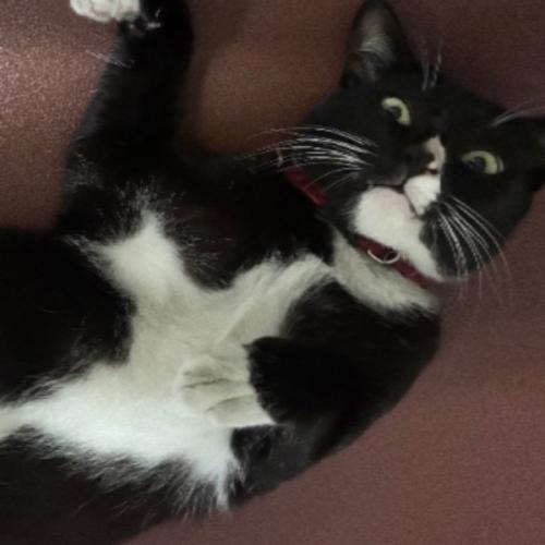 สมาชิกหมายเลข 8012239