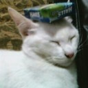 สมาชิกหมายเลข 4016947