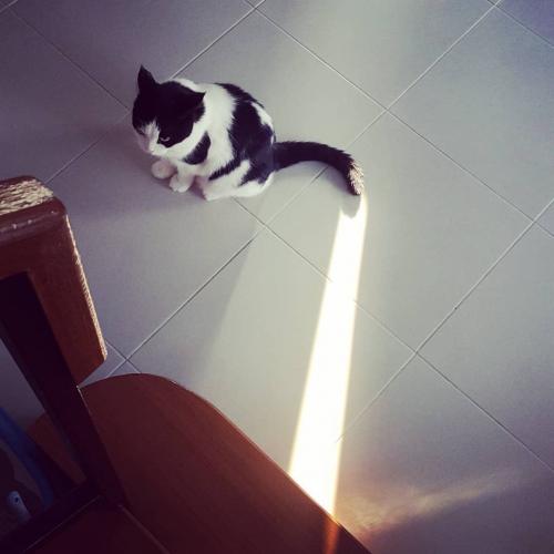 สมาชิกหมายเลข 4480698