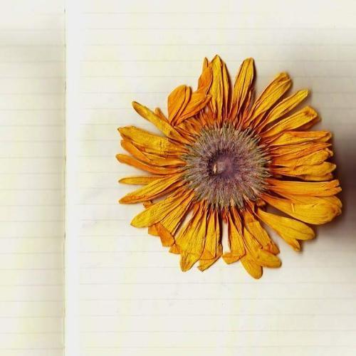 สมาชิกหมายเลข 1876533