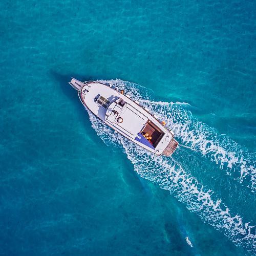 สมาชิกหมายเลข 4814219