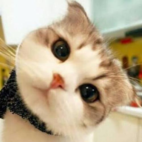 สมาชิกหมายเลข 4814387