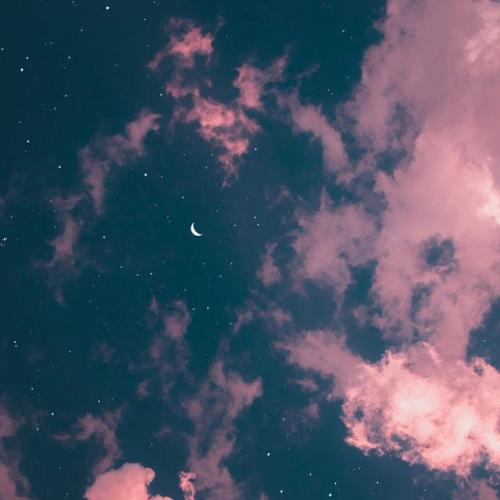 สมาชิกหมายเลข 4409678