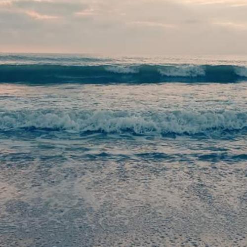 สมาชิกหมายเลข 5197986