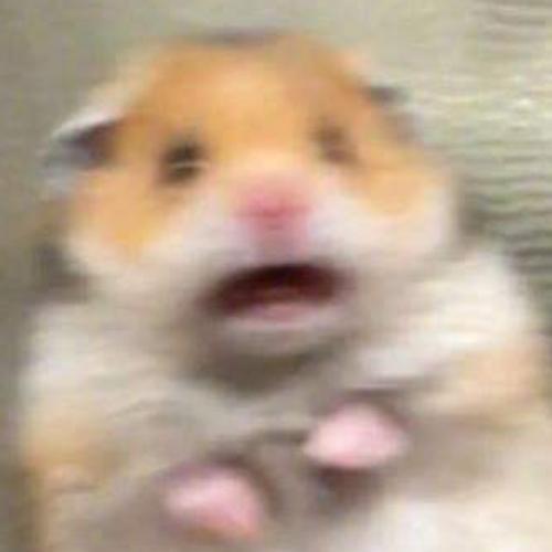 สมาชิกหมายเลข 5608794